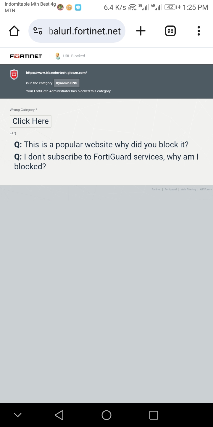 Deployment and hosting challenges during website setup